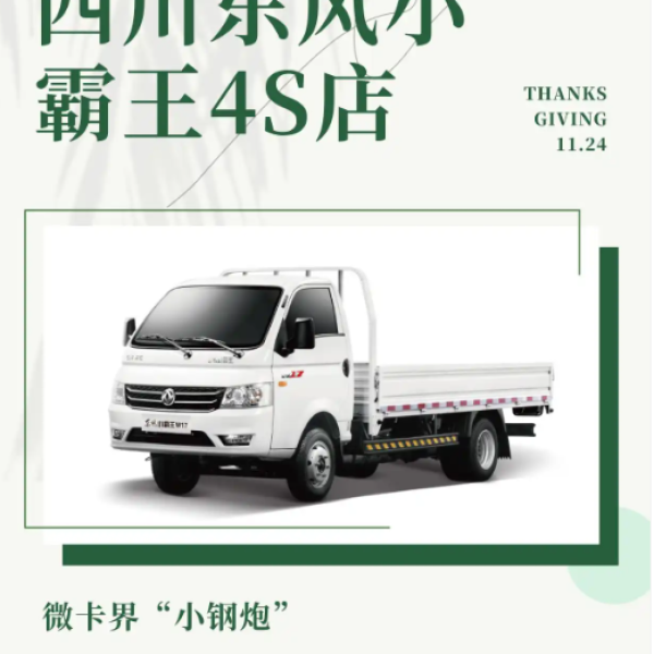 东风小霸王W17柴油车和汽油车怎么选
